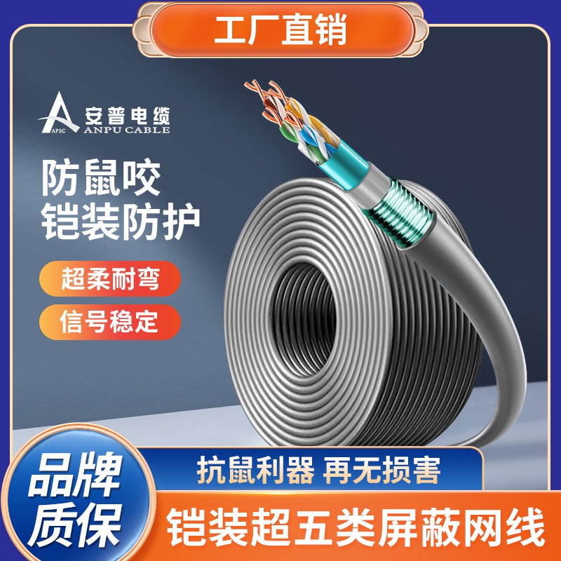 安普超五類(lèi)鎧裝網(wǎng)線防鼠咬鋼帶防曬凍室外抗老化可地埋鎧甲網(wǎng)絡(luò)線